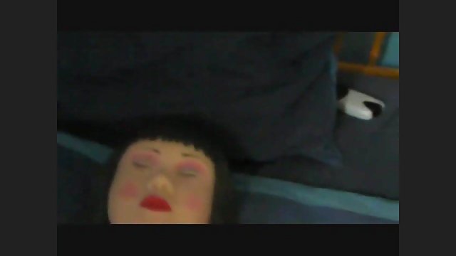 ادرار زنان چاق و سکسی بیدمشک گربه